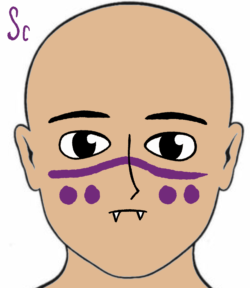 Clan Spiritclaw warpaint is a purple horizantal line over the nose and across the cheeks with two purple dots on each cheek below the line