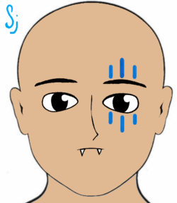 Clan Stormjarl warpaint is 3 vertical blue stripes over one eye
